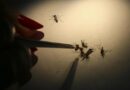 Puerto Rico declara una epidemia tras aumento en casos de dengue