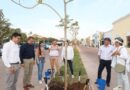 Yucatán llega al millón de árboles plantados con el impulso del Gobernador Mauricio Vila
