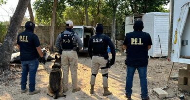Mega decomiso de droga tras cateos en cuatro casas de Mérida