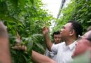 Rolando Zapata se compromete a impulsar la reforestación en Yucatán
