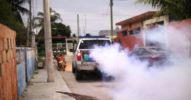 Fumigación constante en Progreso, compromiso con la salud de la gente