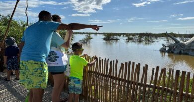 Visita del crucero de Disney al Sendero Jurásico impulsa la promoción turística de Progreso