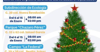 Erik Rihani invita a reciclar árboles navideños en Progreso