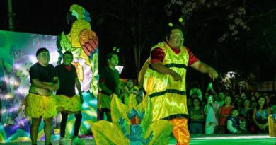 Ecos del Carnaval en Valladolid: Un Rotundo Éxito