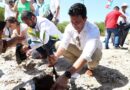 Erik Rihani participa en la reforestación de manglares en Chuburná Puerto