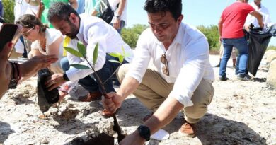 Erik Rihani participa en la reforestación de manglares en Chuburná Puerto