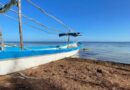 Preocupa en las costas de Yucatán la llegada temprana y abundante de sargazo