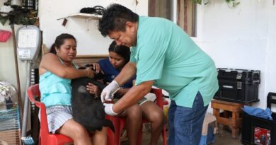 Jorge Carlos Ramírez Marín fortalece la protección animal en Yucatán con el programa “Mascotas más sanas y más felices”