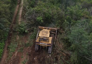 Logran vinculación a proceso por delitos ambientales en la Reserva Cuxtal