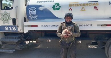 Policía Ecológica de Kanasín rescata a cachorro que cayó en pozo profundo