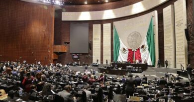 Diputados eligen a tres nuevos consejeros del INE para el periodo 2026-2035