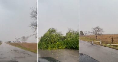 Azota un mini tornado en el noreste de Yucatán: vientos de 100 km/h y granizo