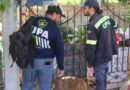 Rescatan a tres perros en la casa de un acumulador de basura en Francisco de Montejo