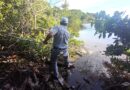 Conagua realiza acciones preventivas en el estero Ciénega de Progreso ante temporada de lluvias