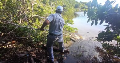 Conagua realiza acciones preventivas en el estero Ciénega de Progreso ante temporada de lluvias