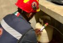 Supervisa Protección Civil de Kanasín instalaciones en el Mercado Municipal para prevenir riesgos