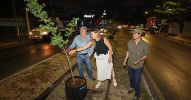Circuito Colonias poniente amanece con nuevo rostro verde: Cecilia Patrón inicia trabajos de arborización