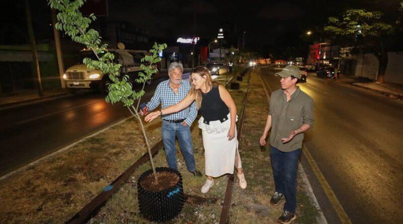 Circuito Colonias poniente amanece con nuevo rostro verde: Cecilia Patrón inicia trabajos de arborización