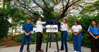 Avanza Cecilia Patrón en la protección de los árboles meridanos al declararlos patrimonio de la ciudad