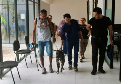 Zeus regresa a su hogar