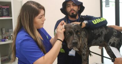 Salvan a Zeus: la alcaldesa Cecilia Patrón afirma que no será sacrificado