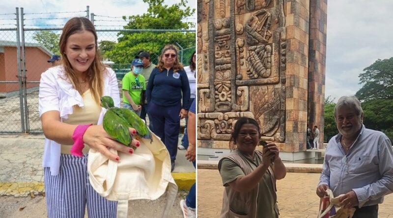 Resguardan lorito rescatado durante caminata en Vergel III; recibirá atención especializada en Animaya