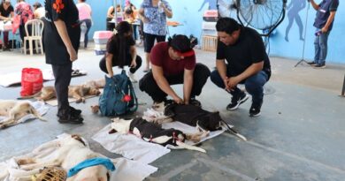 El Ayuntamiento de Kanasín realiza con éxito su Primera Campaña Gratuita de Esterilización Canina y Felina