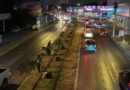 Reubicarán árboles colocados por el Ayuntamiento de Mérida en Circuito Colonias