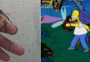 En Suma de Hidalgo confunden moscas ladronas con moscos gigantes, a estilo de los Simpson