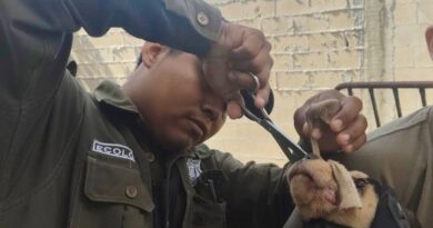 Por inmovilizarle el hocico a un perro en Kanasín, la multarán con 12,000 pesos