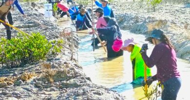 Conagua, sociedad y academia restauran el manglar en la Ciénega de Progreso