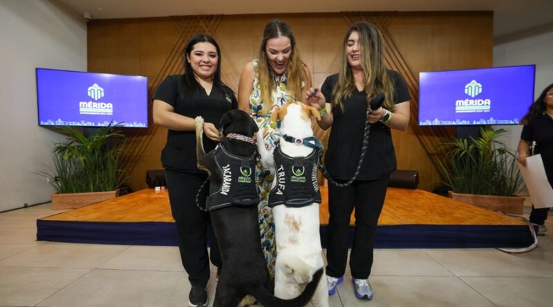 Más adopciones, más esterilizaciones y más acciones por el cuidado animal: Cecilia Patrón