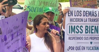 La salud de las mujeres y sus hijos no se transfiere ni se improvisa: el PRI