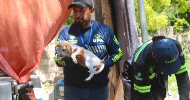 Ayuntamiento de Mérida supera la atención de más de 1 mil 300 reportes de maltrato animal en lo que va del año.