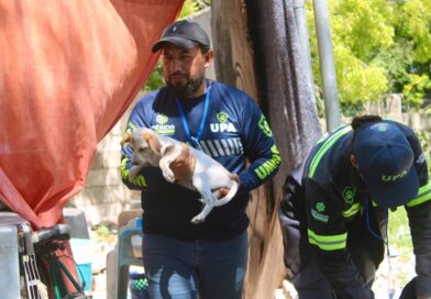 Ayuntamiento de Mérida supera la atención de más de 1 mil 300 reportes de maltrato animal en lo que va del año.