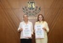 El Ayuntamiento lanza la convocatoria para participar en el Mérida Fest 2027