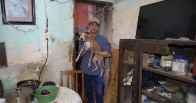 La UPA rescata 48 perros en condición crítica en el centro de Mérida