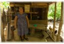 Mujeres guardianas de las abejas meliponas: protegen las Xunáan Kaab de Yucatán