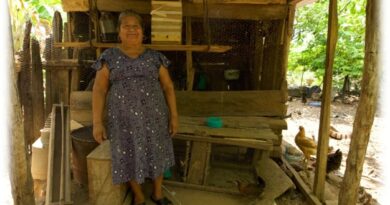 Mujeres guardianas de las abejas meliponas: protegen las Xunáan Kaab de Yucatán