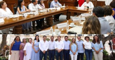 El préstamo inicia su camino hacia el Congreso: requiere 24 diputados para su aprobación