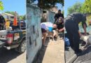 Entregan a la SSP a dos pitbull que atacaron a una mujer en la Bojórquez