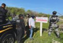 Profepa clausura varios desmontes ilegales en la Reserva de la Biosfera en Celestún