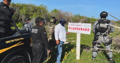 Profepa clausura varios desmontes ilegales en la Reserva de la Biosfera en Celestún