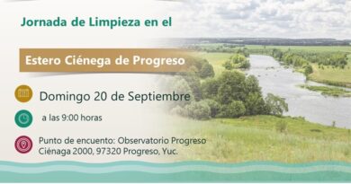 Conagua invita a participar en la Mega Jornada de Limpieza de Ríos y Cuerpos de Agua 2026