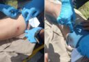Le disparan a un motociclista en la carretera Tizimín-Río Lagartos