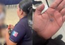 Una niña ingiere chaquiras en un kínder de Kanasín