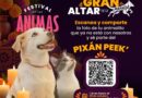 Pixán Peek del Ayuntamiento de Mérida, oportunidad para recordar a perros y gatos que dejaron huella
