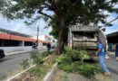 El Ayuntamiento de Mérida intensifica trabajos preventivos ante los probables efectos de Isaías