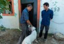 Oso y Blanqui regresan a casa con don Jacinto