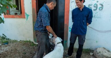 Oso y Blanqui regresan a casa con don Jacinto